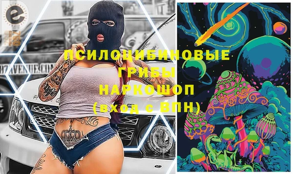сатива Богородск