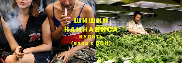 сатива Богородск