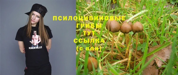 МДПВ Богородицк