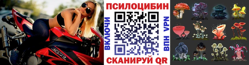 мега ССЫЛКА  дарнет шоп  Хвалынск  Псилоцибиновые грибы Cubensis 